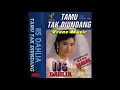 Download Lagu Telah Aku Mencoba Vocal Iis Dahlia
