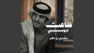 ضاعت دروبي دندنها