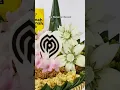 Download Lagu Tumpeng Karakter Logo!!! Canteeek!!!