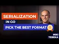 Practical Serialization In Go Selection Criteria