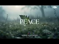 Download Lagu PEACE - Soaking worship instrumental | Prayer and Devotional