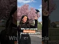 Why are people DESTROYING Flock cameras