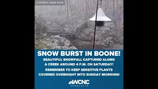 Snowburst in Boone North Carolina