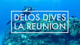 Scuba Diving Incredible La Réunion!