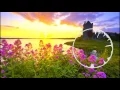 Download Lagu TheFatRat fly away(bass boosted)