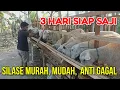 Download Lagu BONGKAR RAHASIA SILASE TERMURAH CUKUP 3 HARI SIAP SAJI