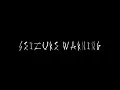 Poppy - Khaos x4 (Lyric Video) [SEIZURE WARNING]