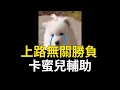 [韓可爾] 上路無關勝負, 老黑單殺8次還要輸, 玩上路是什麼很賤的人嗎 T_T 卡蜜兒輔助