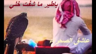 شيلة ياطير ماشفت خلي ماشفته ولالقيته       أداء على بن حرقان  جديد  دندنها