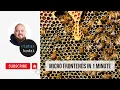 Micro frontends in 1 minute NX Angular