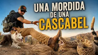 ¿Las Botas Vaqueras Te Protegerán De Las Serpientes?