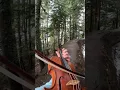 Download Lagu Kingdom Dance in the forest