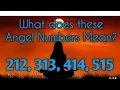 The meaning of 212 313 414 515 Angelic Numbers journey