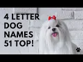 4 Letter Dog Names 51 SHORT TOP CUTE Ideas Names