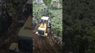 تم اصدار قرار قلع القات وبدء التنفيذ💪