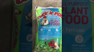 Best Organic Garden Fertilizer IMHO Buying Pelletized Chicken Manure Garden Fertilizer 2-4-3