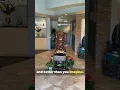 4 Things You Didn t Know About Elation Massage RB Relax Refresh Recharge
