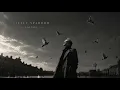 ʟᴜʟʟᴀʙʏ - My Little Sparrow | Haunting Indie Ballad |  (Original Mix - Lyrics Video) #indie 