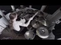Download Lagu Bleed From Within - Silence Them All (Whole band playthrough)