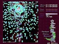 Touhou 7: Perfect Cherry Blossom - Chen (Lunatic, No-Miss, No-Bomb, No-Border Breaks)