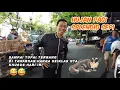 Download Lagu AKIBAT HUJAN PAGI PASAR SPLENDID BANYAK PEDAGANG YANG LIBUR hewan apa saja yg ada kali ini