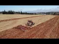 dirt we were raised on
