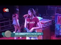Download Lagu MALUCCA ELECTONE ANASTASYA BARBY GAK JAMAN PUNYA PACAR SATU #biduancantik