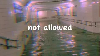 Download TV Girl - Not Allowed - Super Slowed \u0026 Reverb MP3