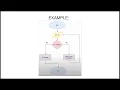 Release 8 Conditional Statements Concept Programming
