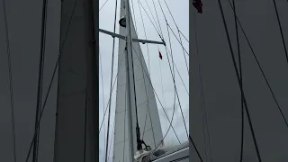 Sailing a 35 ton sailboat with a staysail #shorts