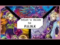 Idiot s Guide to P U N K