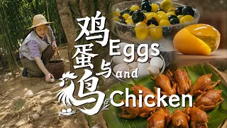 One Chicken, One Egg, and a Whole Table of Hometown Flavors｜Chicken and Egg Recipe Collection【滇西小哥】