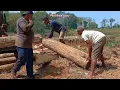 Download Lagu Di Rajang Di Tengah Sawah‼️ Kayu Jati Tua-Gergaji mesin Bandsaw Rakitan