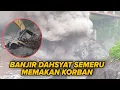 Lagu Mengerikan! Banjir Lahar Panas Semeru Kembali Ngamuk 