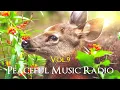 Download Lagu Peaceful Music Radio Vol.9 | 2023.7.23 演奏会のピアノ即興演奏 / Yuusuke