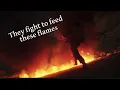 We are Empire - Starset (Lyrics video)