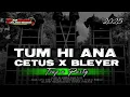 Lagu DJ INDIA TUM HI ANA || CETUS X BASS BLEYER X PARTY || TAMANAN SLOW BASS