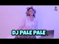 Download Lagu DJ PALE PALE VIRAL TIK TOK x TARIK SIS (DJ IMUT REMIX)