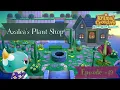 Azalea s Plant Shop Happy Home Paradise Ep Animal Crossing New Horizons