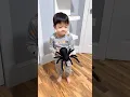 Cute kid pranks sleeping mom