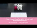 T010 Rose Bengal Plate Test RBPT for Brucella
