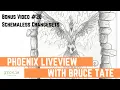Programmer Passport Phoenix LiveView 20 - LiveView Bonus