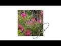 【 Ginnique 】ลาลาลา | La La La : Dept【Off Session】