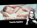 Pizzagate Epstein Island and Adrenochrome Who Threatens Our Children