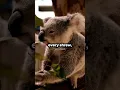 Download Lagu Why Being VEGAN Is STUPID!