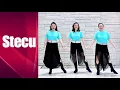 Download Lagu Stecu Line Dance (demo \u0026 count)