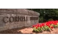 Walmart Innovation Fund Cornell University