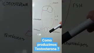 Como produzimos Testosterona? #shorts