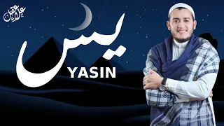 surah yasin full by alaa aql with mushaf almadinah text bahasa penerjemah 