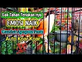 Download Lagu CENDET GIL4 ! NARUNG FULL ISIAN ,PANCINGAN CENDET AGAR BUNYI AMPUH jadikan BURUNG PENTET GACOR EMOSI